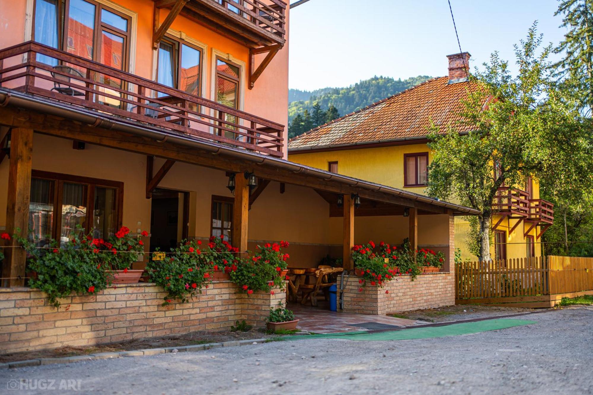 Pensiunea Viktoria BaileTusnad Exterior foto